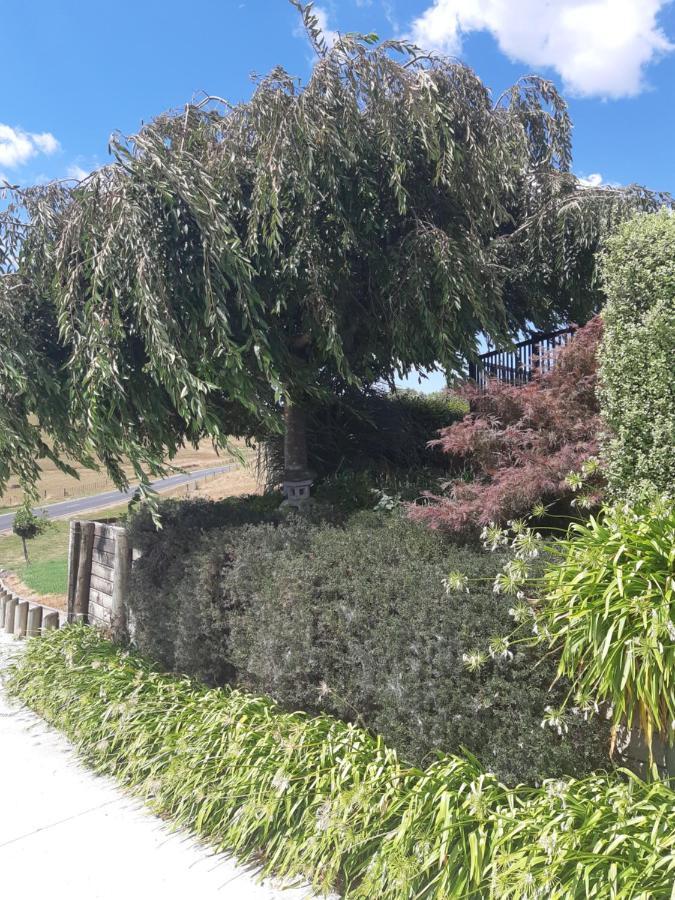 The End Lounge B&B Otorohanga Εξωτερικό φωτογραφία